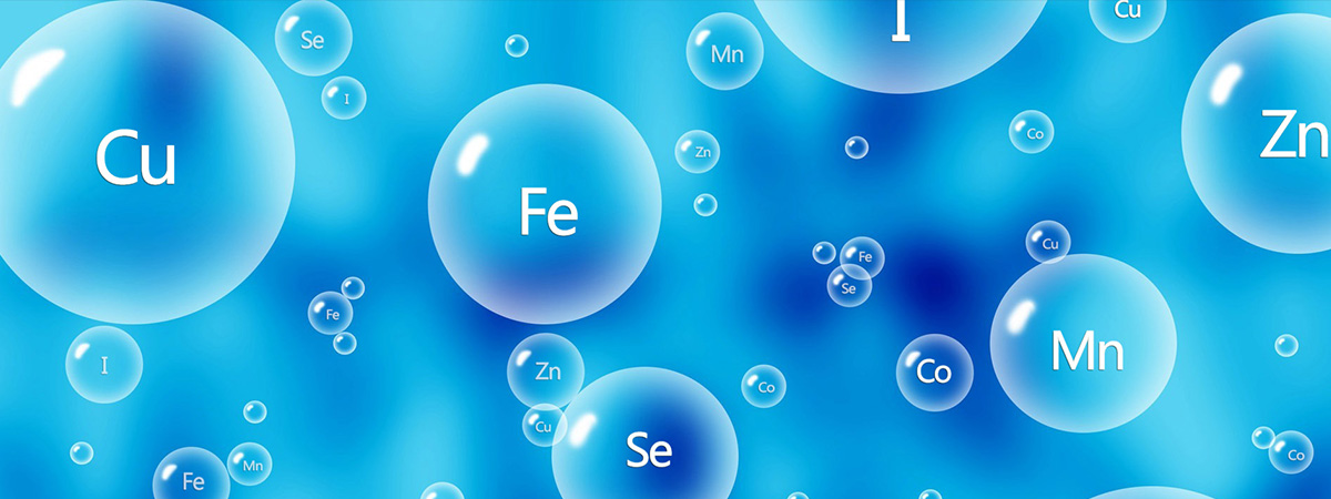 7cf039.jpg