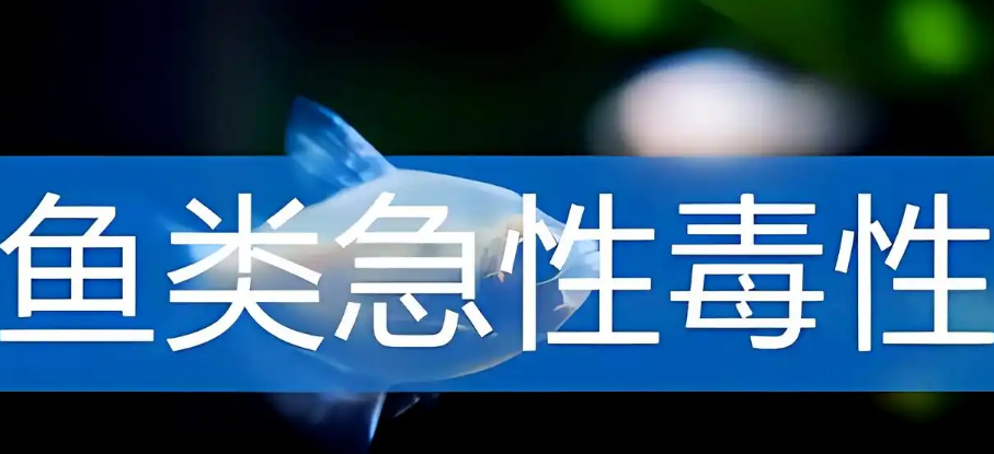 鱼类急性毒性.png